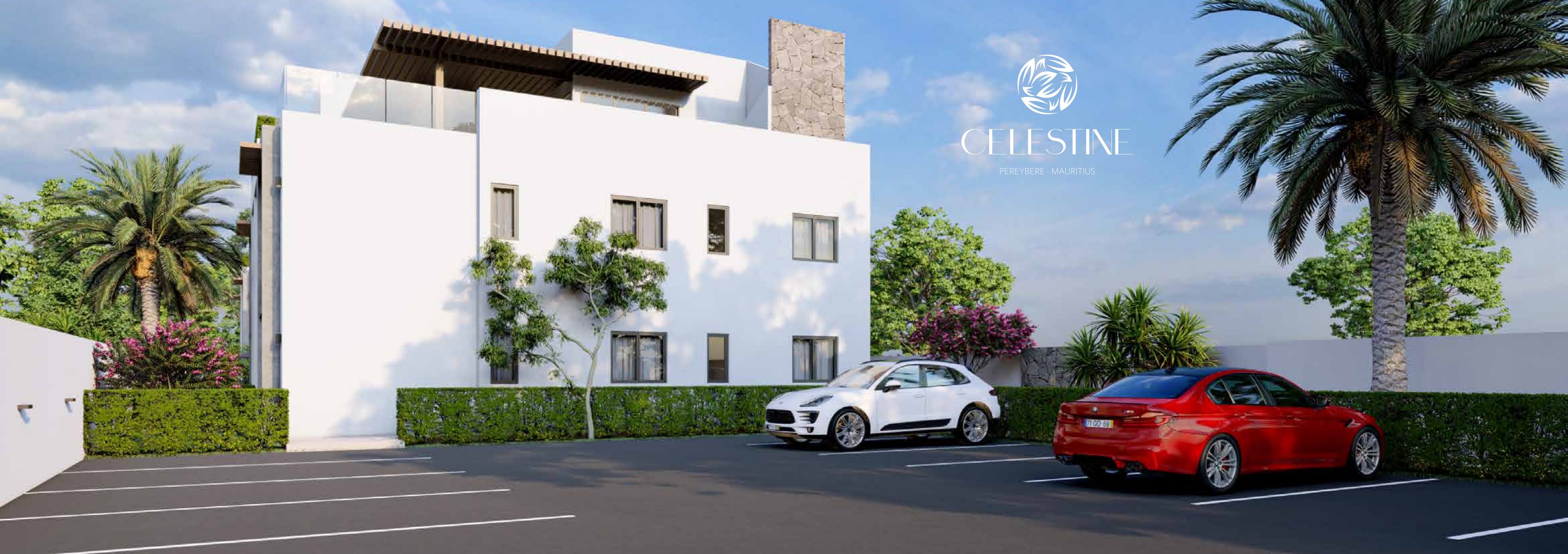 Celestine – Pereybere – image 8