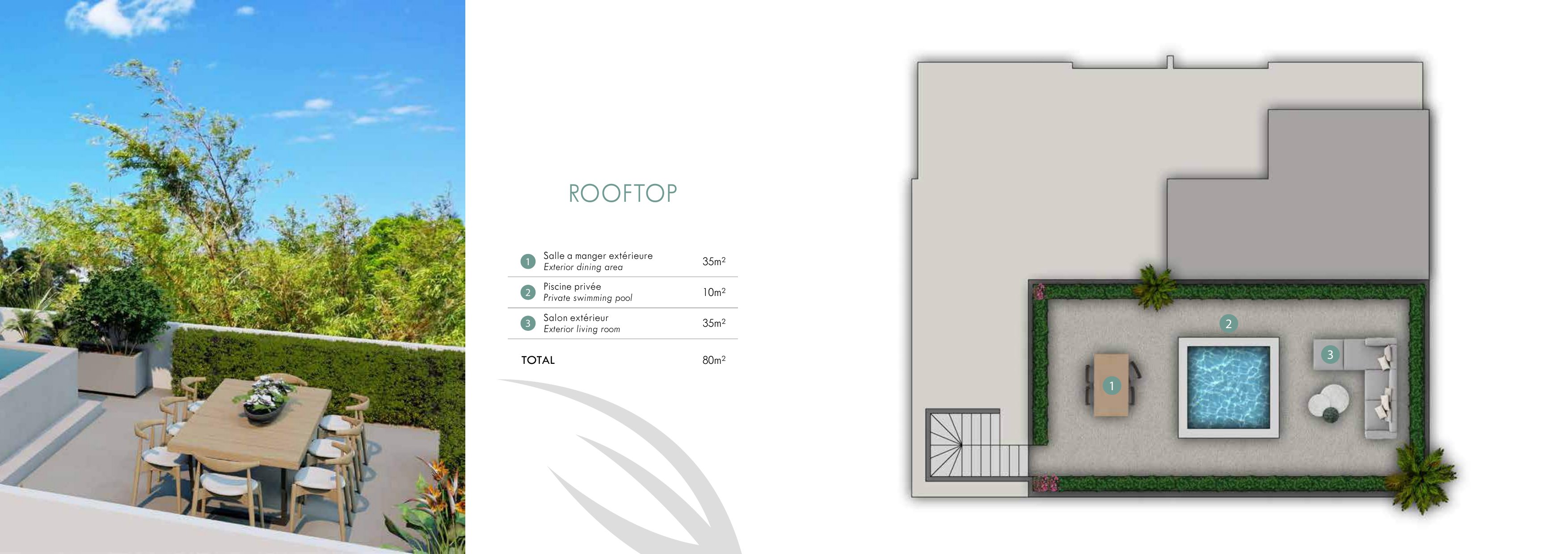 Celestine – Pereybere – image 5