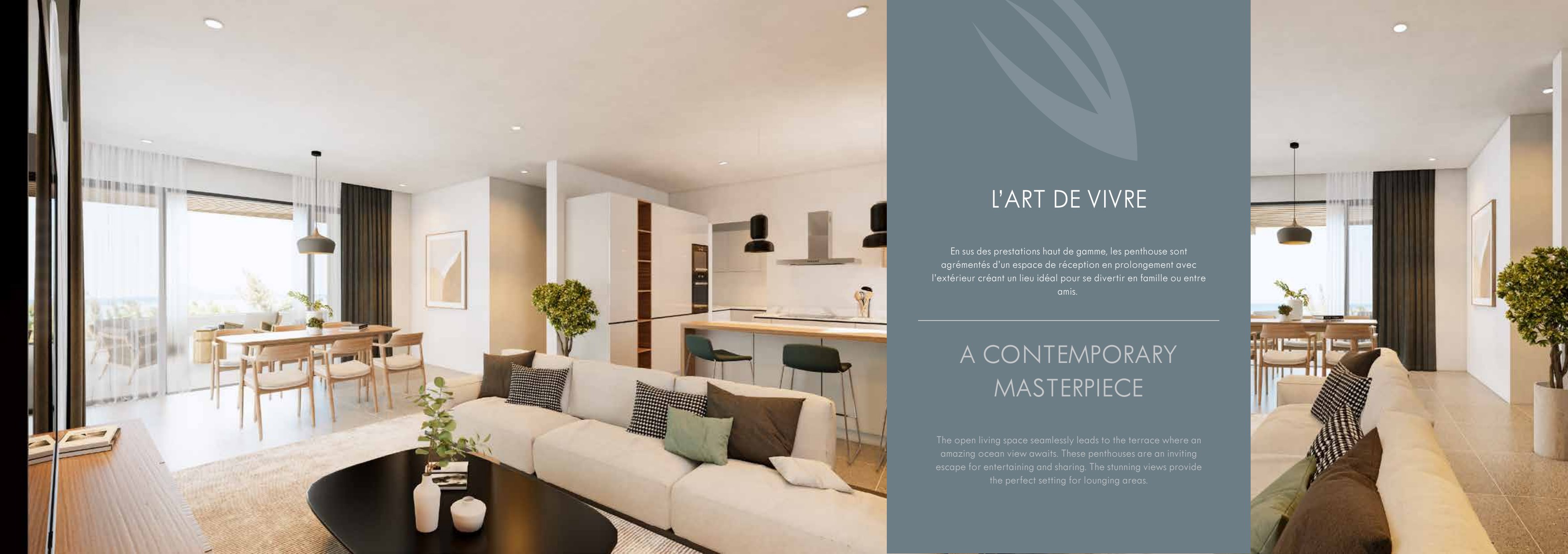 Celestine – Pereybere – image 12