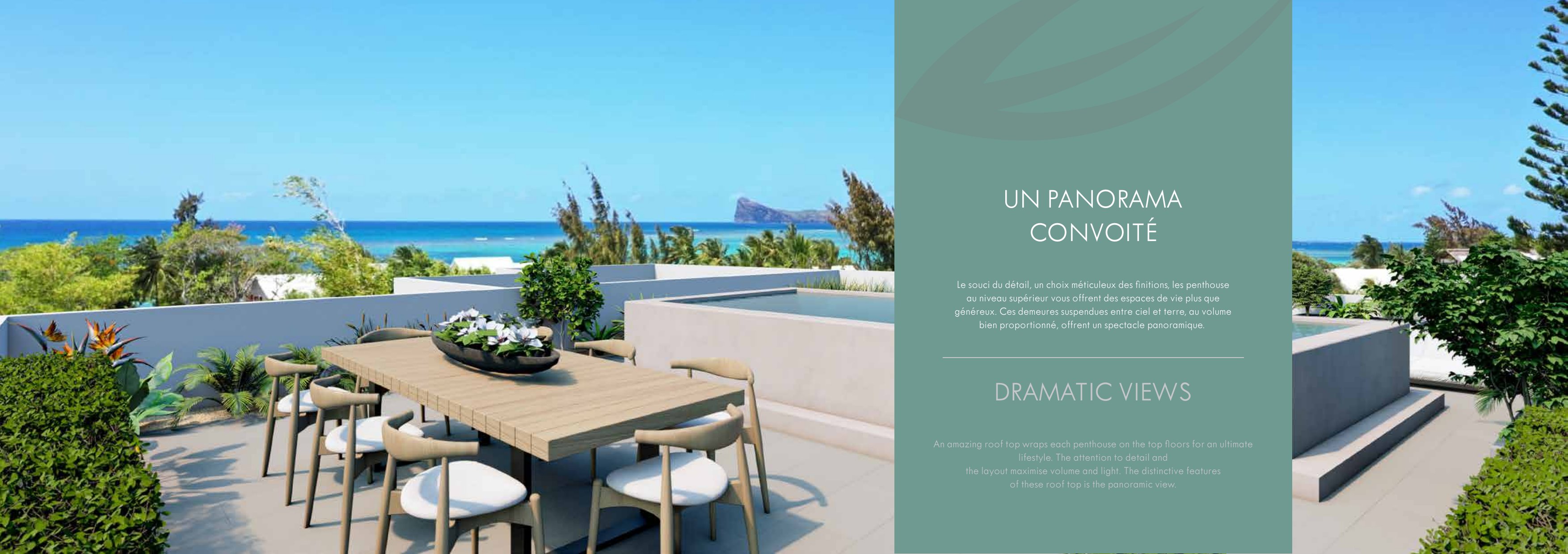 Celestine – Pereybere – image 3