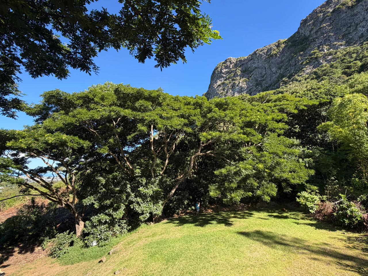 Architect Villa  photo 11