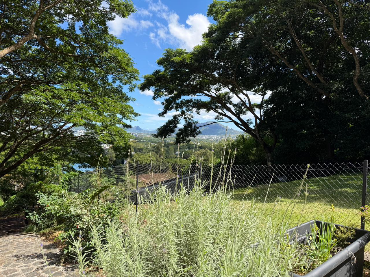 Architect Villa  photo 12