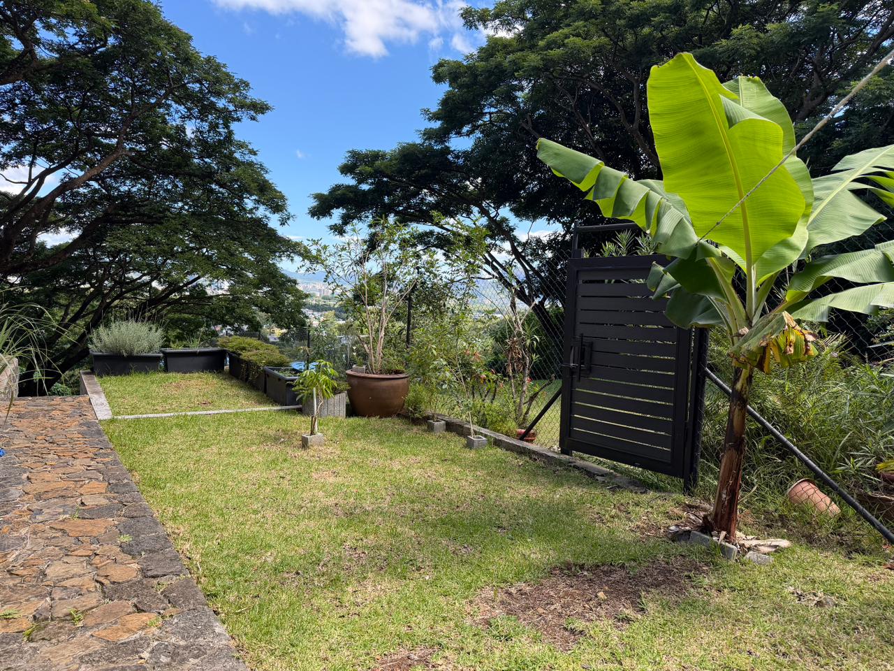 Architect Villa  photo 13